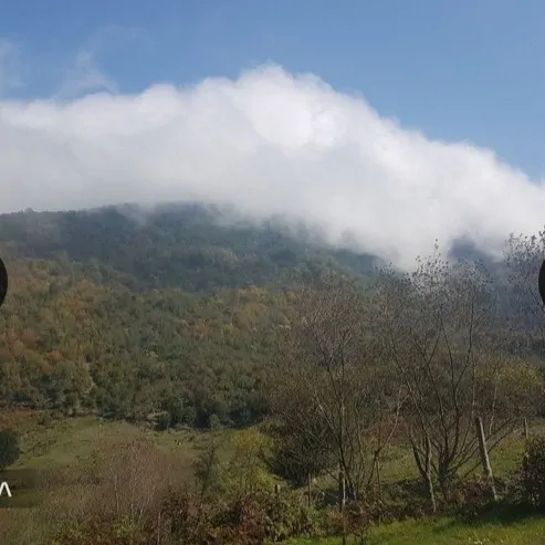 تصویر 2 - کلبه دیزین جنگلی  لاویج  در چمستان