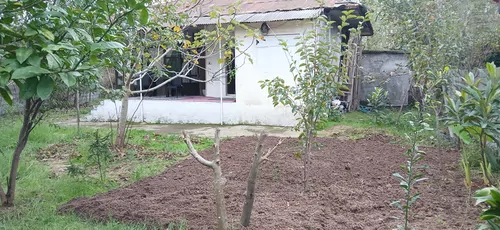 تصویر 12 - سوییت سردار جنگل در  خشکبیجار