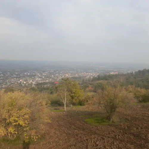 تصویر 2 - ویلا اقامتگاه لمراسک  در بهشهر