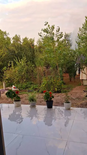 تصویر 5 - روستایی و عشایری اقامتگاه ارغوان در  رشت