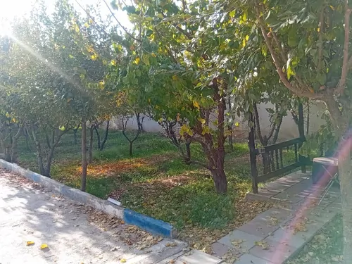 تصویر 4 - ویلا ویلای استخردار ایلیا در سهیلیه