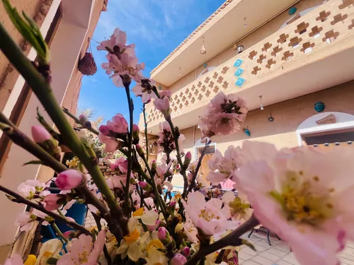 تصویر 15 - اقامتگاه بوم‌گردی راوي كوير مصر (راوی ۱) در  خور و بیابانک