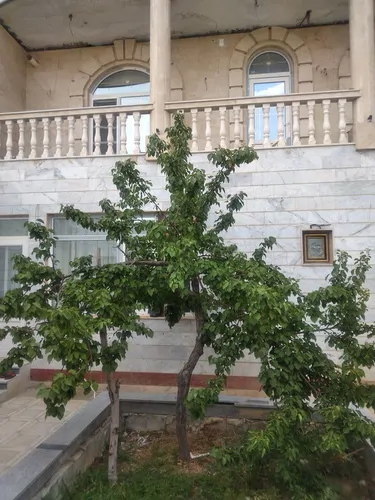 تصویر 3 - خانه وانیا در  ابهر