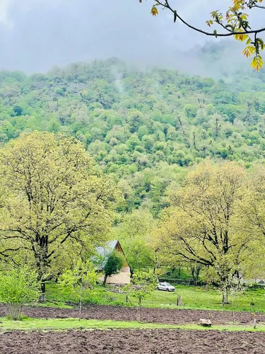 تصویر 2 - کلبه سوئیسی دلنشین در تالش