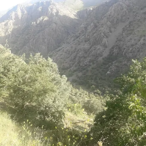 تصویر 23 - خانه بهرامی در اورامان تخت در  اورامان تخت