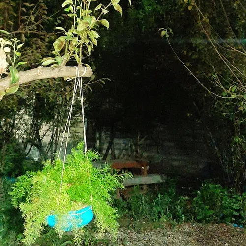 تصویر 12 - سوییت کلبه آبی  در  سنگر