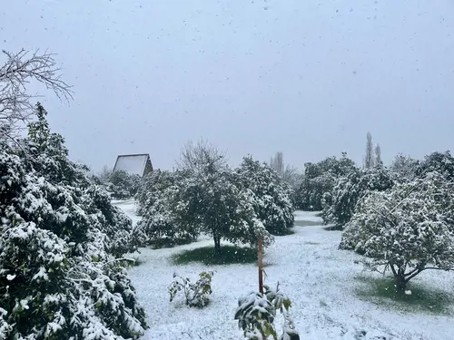 تصویر 17 - کلبه سوئیسی عادل با جکوزی کنار رودخانه در  بابل کنار