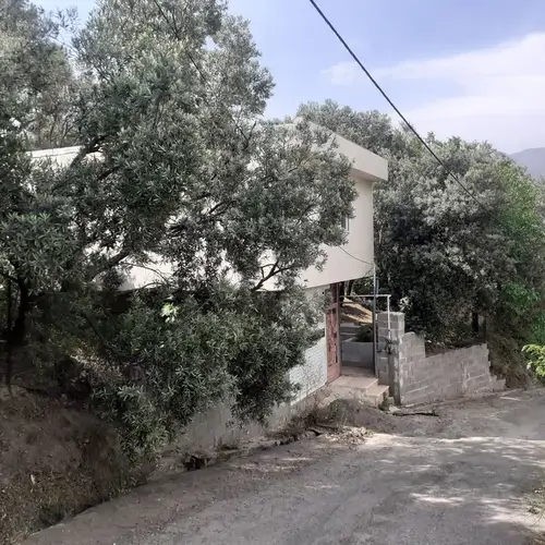 تصویر 3 - ویلا زیتون در رودبار