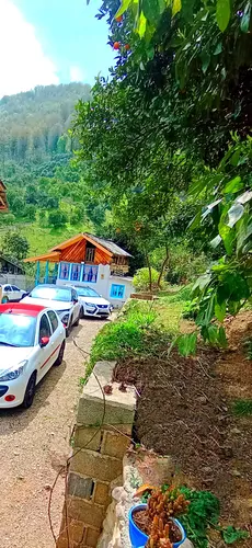 تصویر 15 - روستایی و عشایری باغ سنتی نیاکان در رامسر