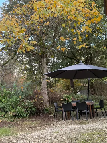 تصویر 27 - ویلا هیراد در  ماسال