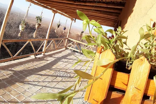 تصویر 9 - اقامتگاه بوم‌گردی کوچه باغ باصفا (12متری یک) در  شاهرود