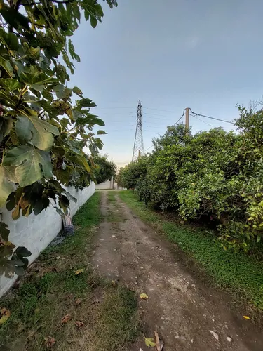 تصویر 8 - کلبه چوبی نقلی در رامسر