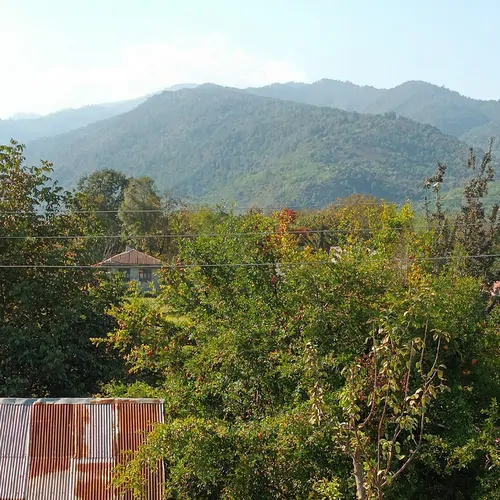 تصویر 21 - ویلا  جنگلی روستائی صابر در  ماسال