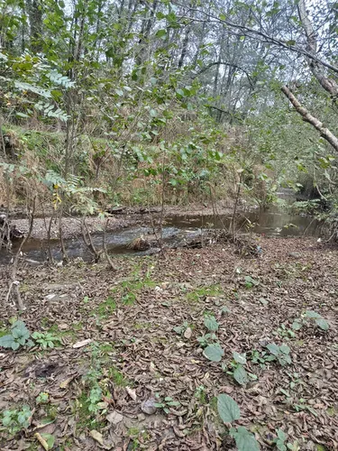 تصویر 13 - ویلا آوای ناز در  گیسوم