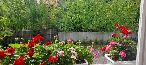 تصویر 19 - ویلا با دیزاین چوب متین  در  ماسال