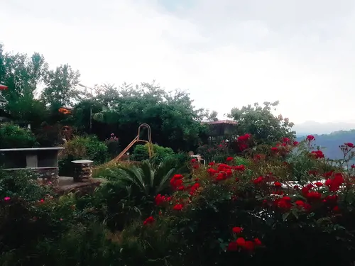 تصویر 17 - سوییت عمو رشید (واحد ۷) در بابل