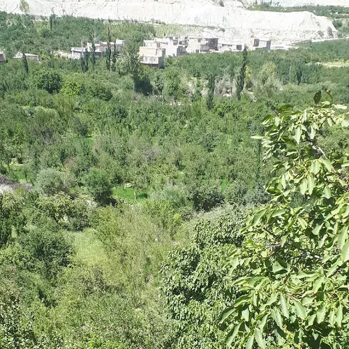 تصویر 3 - ویلا ویلا  در نیشابور