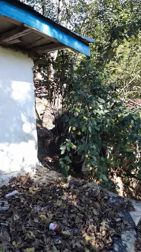 تصویر 2 - ویلا ویلایی جنگلی  در رستم آباد