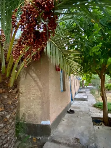 تصویر 5 - اقامتگاه بوم‌گردی آوان شوش ( اتاق 1 ) در  شوش
