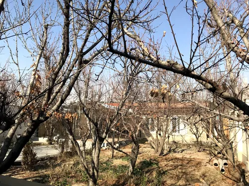 تصویر 12 - ویلا اورانوس در ماهدشت