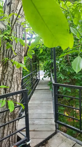 تصویر 22 - ویلا استخردار آبگرم بنای جهان با جکوزی در  کرج