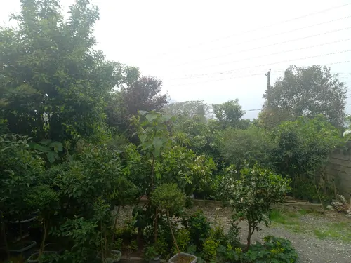 تصویر 2 - ویلا سهیل یک خوابه در چابکسر