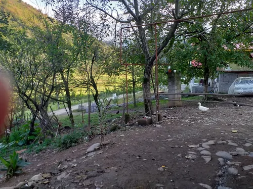 تصویر 18 - خانه  شالیزار در  رودبار