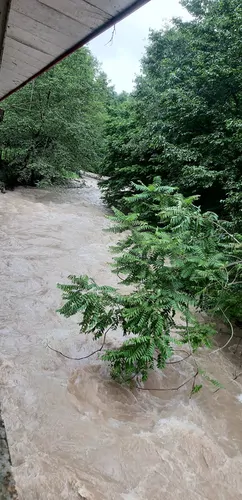 تصویر 2 - کلبه رستوران کندوان در چالوس