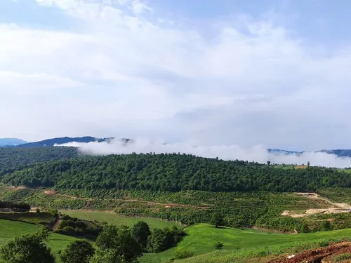 تصویر 16 - ویلا مبله با ویو سدگلورد و جنگل در  بهشهر