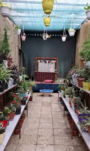 تصویر 18 - ویلا سینوا در گرگان