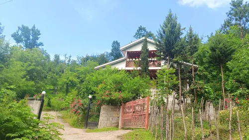 جنگلی ورمیه 