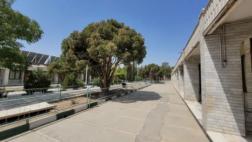 تصویر 9 - خانه سید مرتضی (اتاق ویژه) در  کاشمر