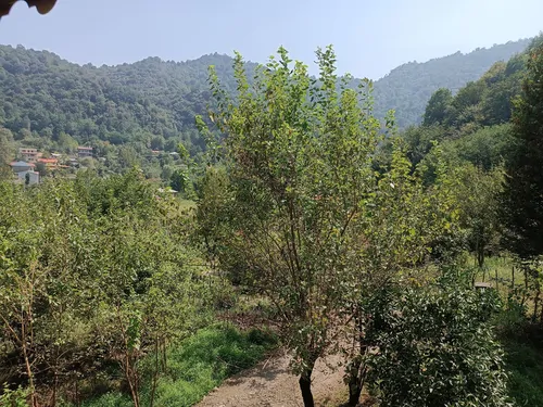 تصویر 21 - کلبه فردوسی  در  ماسال