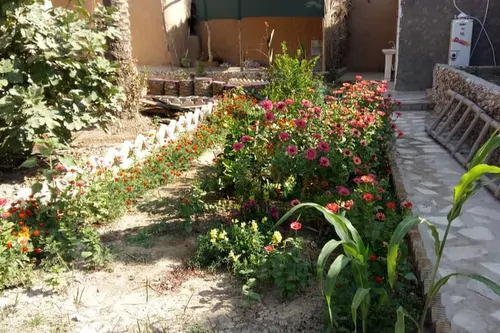 تصویر 5 - اقامتگاه بوم‌گردی واحد ۴ با قیمت ارزان در  فسا