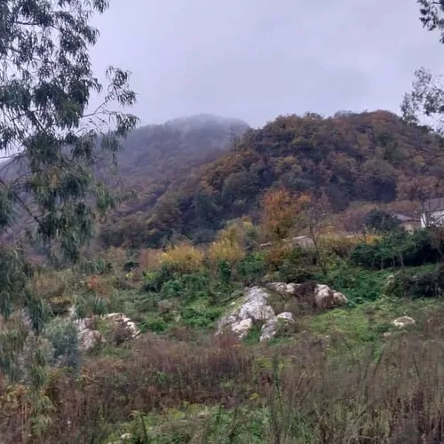 تصویر 3 - ویلا زیبا در رامسر