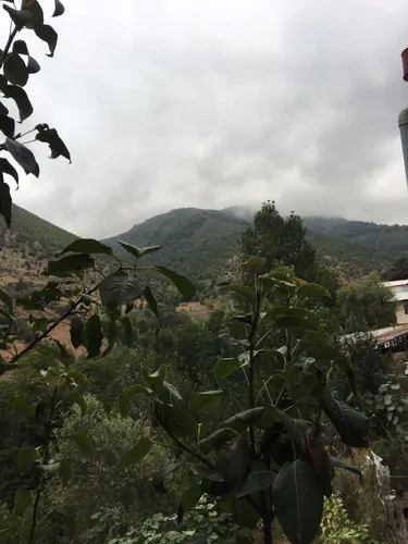 تصویر 3 - روستایی و عشایری ویوو عالی در دیلمان