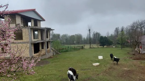 تصویر 5 - ویلا ویلا لاکچری  دنج و عالی  در  فومن