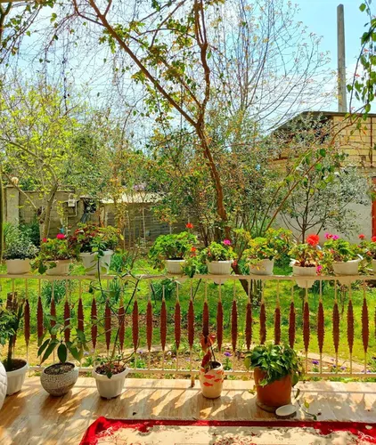 تصویر 4 - ویلا حیاط دل باز . پنجره های زیاد و روشنی خانه  در ماسال