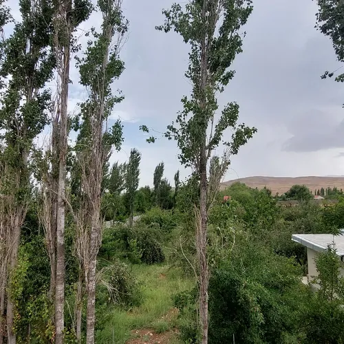 تصویر 2 - ویلا شیربابا در سپیدان
