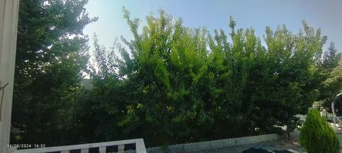 تصویر 4 - ویلا باغ نور در مشهد