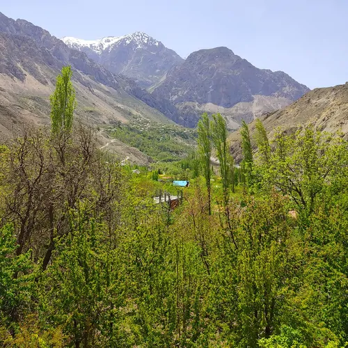 تصویر 13 - ویلا کوک در  رینه