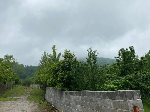 تصویر 24 - کلبه جنگلی لیام (روستای سیاهدول) در ماسال