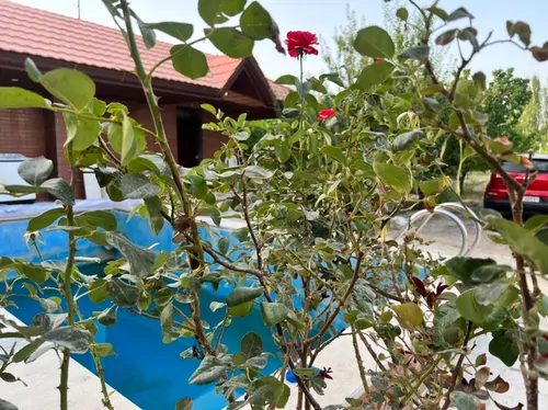 تصویر 5 - ویلا ماربل در  ملارد 