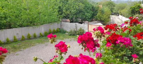 تصویر 22 - ویلا با دیزاین چوب متین  در  ماسال