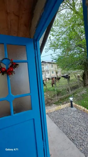 تصویر 16 - ویلا جنگلی اندیشه در ماسال