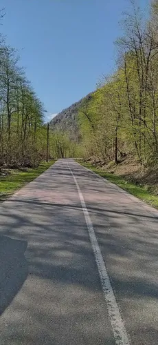 تصویر 25 - ویلا جنگلی لزیر واز در  چمستان