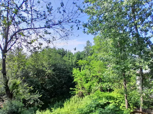 تصویر 19 - ویلا سینا در  سیاهکل