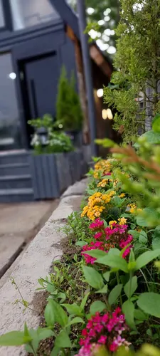 تصویر 20 - کلبه پسر جنگل  در  دوهزارشهسوار