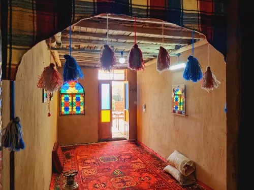 بلوط زاگرس (سرای یافته)