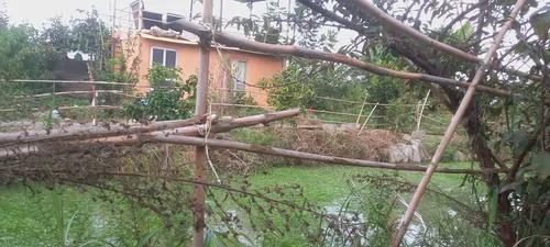 تصویر 2 - کلبه کلبه گلی دوستان در محمودآباد